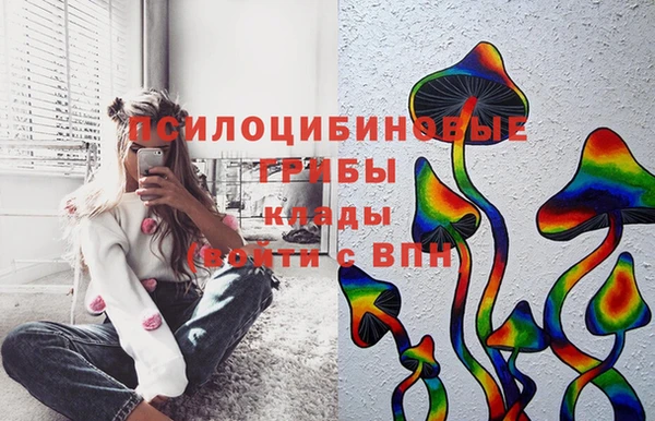 винт Бородино