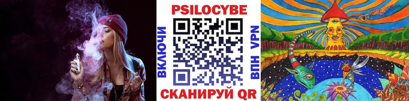Псилоцибиновые грибы Magic Shrooms  OMG tor  Белгород 