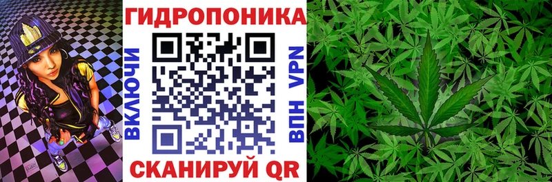 Конопля Ganja  Белгород 